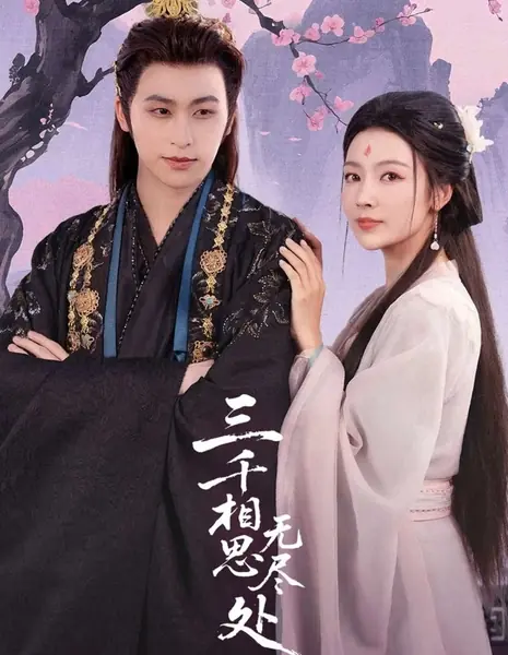 Бесконечное эхо любви / Love's Endless Echoes /  三千相思无尽处