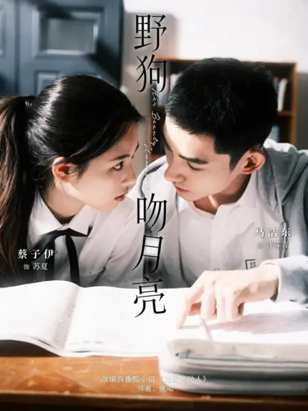 Дорама Ye Gou Wen Yue Liang /  野狗吻月亮