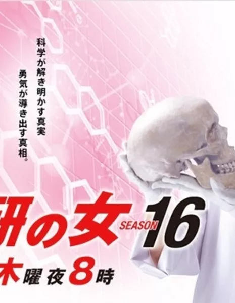 Женщина в криминалистической лаборатории Сезон 16 / Kasouken no Onna Season 16 / 科捜研の女16