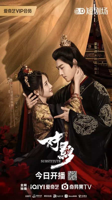 Дорама Подмена / Substitute (iQiyi) /  对影 / Dui Ying
