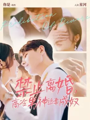 Дорама Запрет на развод  / Prohibition of Divorce  /  禁止离婚，高冷男神追妻成奴