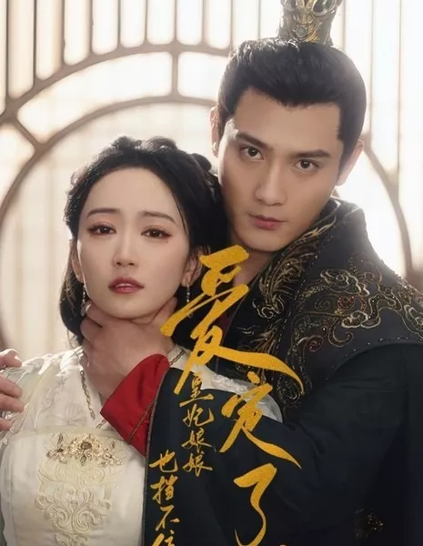 Ai Ding Le, Huang Fei Niang Niang Ye Dang Bu Zhu  /  爱定了，皇后娘娘也挡不住