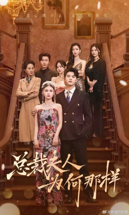 Дорама Почему жена президента она? / Zong Cai Fu Ren Wei He Na Yang  /  总裁夫人为何那样