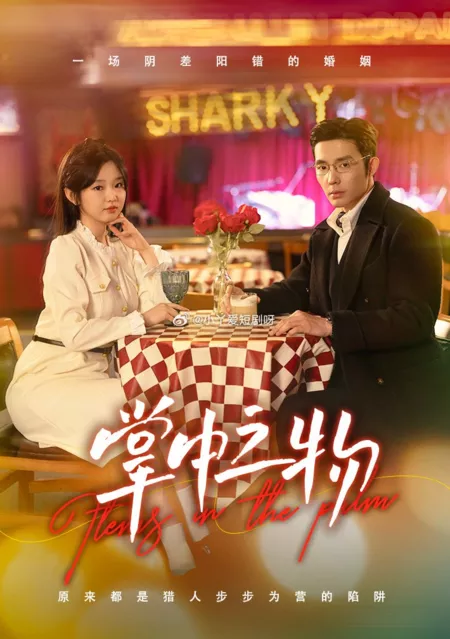 Дорама Вещь на ладони / Thing in the Palm  /  掌中之物