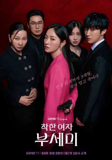 Дорама Госпожа Инкогнито / Ms. Incognito /  착한 여자 부세미