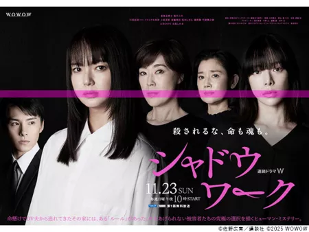 Дорама Работа в тени / Shadow Work /  シャドウワーク