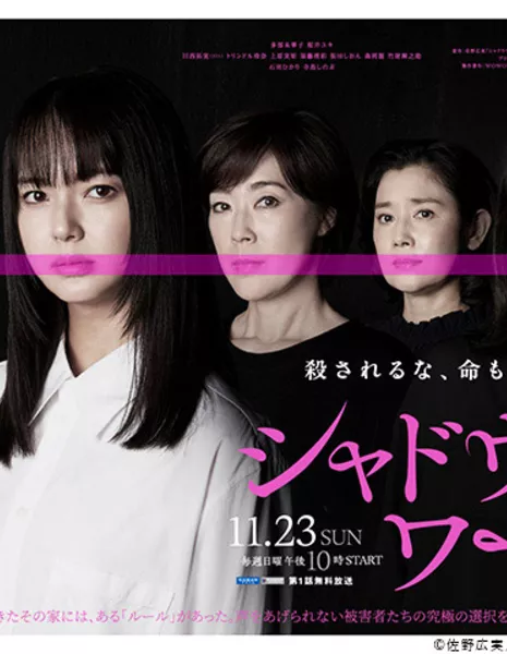 Работа в тени / Shadow Work /  シャドウワーク