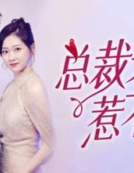 Не связывайся с мадам / Don't Mess with Madam  /  总裁夫人惹不起