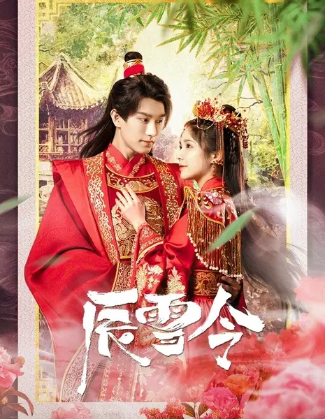 Знак брака / Marriage Badge /  辰雪令