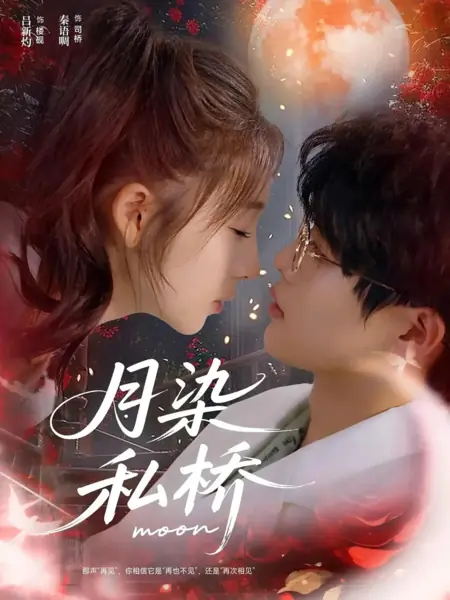 Дорама Луна, озарившая его мир / Moonlit Private Bridge / 月染私桥