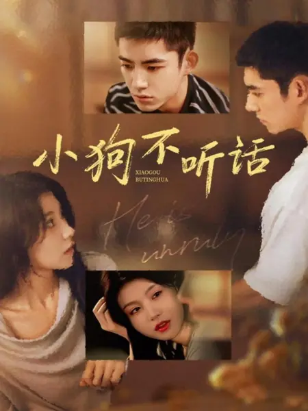 Дорама Мой непослушный щенок / He Is Unruly / 小狗不听话 / Xao Gou Bu Ting Hua