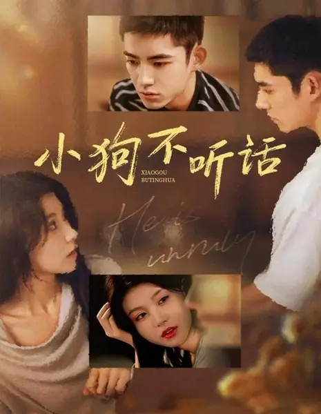 Мой непослушный щенок / He Is Unruly / 小狗不听话 / Xao Gou Bu Ting Hua