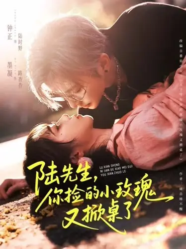 Дорама Господин Лу, подобранная вами роза снова в ярости / Mr. Lu, the Little Rose You Picked Up Has Flipped the Table Again / 陆先生你捡的小玫瑰又掀桌了 / Lu Xian Sheng, Ni Jian De Xiao Mei Gui You Xian Zhuo Le