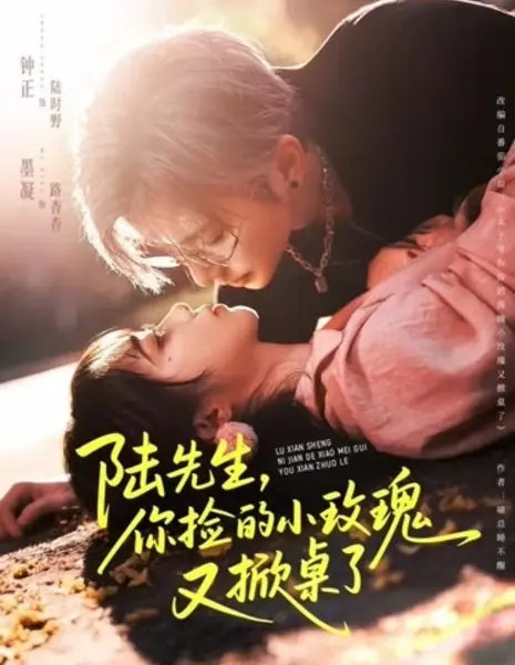 Господин Лу, подобранная вами роза снова в ярости / Mr. Lu, the Little Rose You Picked Up Has Flipped the Table Again / 陆先生你捡的小玫瑰又掀桌了 / Lu Xian Sheng, Ni Jian De Xiao Mei Gui You Xian Zhuo Le