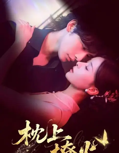 Пожар на подушке / Stirring Up Fire on the Pillow / 枕上撩火 / Zhen Shang Liao Huo