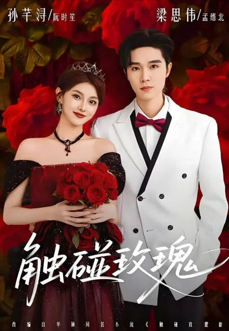 Дорама Прикосновение к розе / Touching Roses / 触碰玫瑰 / Chu Peng Mei Gui