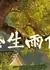 Дождь, который всё изменил / Jin Sheng Yu Ni  /  金生雨你