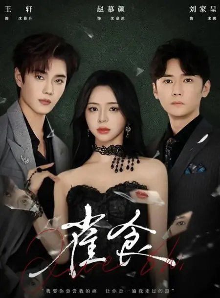 Дорама Без сомнений / Sparrow Food / 雀食 / Que Shi