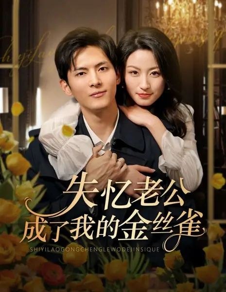 Муж с амнезией стал моей золотой канарейкой / Shi Yi Lao Gong Cheng Le Wo De Jin Si Que /  失忆老公成了我的金丝雀