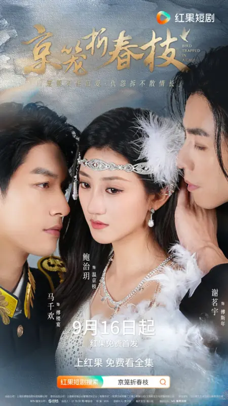 Дорама Птица в клетке / Bird Trapped in a Cage /  京笼折春枝