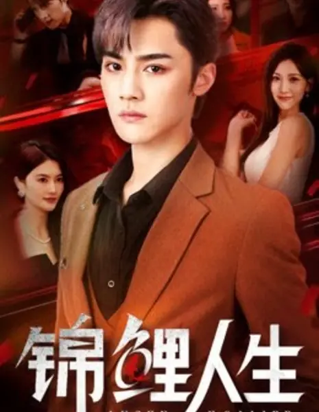 Счастливая жизнь Кои / Lucky Koi Life /  锦鲤人生