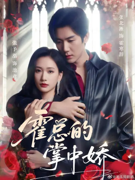 Дорама Возлюбленная в ладонях господина Хо / Huo Zong De Zhang Zhong Jiao /  霍总的掌中娇