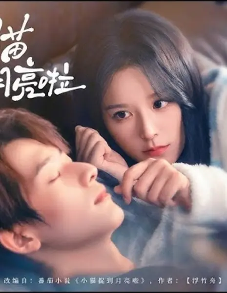 Котёнок, поймавший свою белую луну / Kitten Caught the Moon / 小猫捉到月亮啦 / Xiao Mao Zhuo Dao Yue Liang La