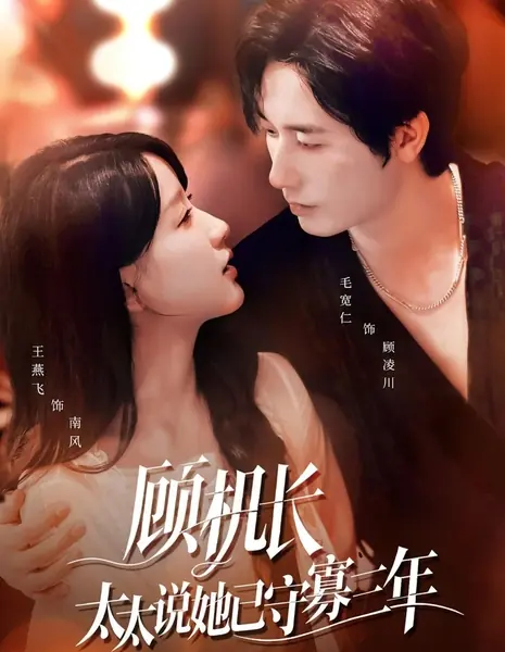 Возрожденная любовь в небесах / Renewed Love in the Skies /  顾机长，太太说她已守寡三年