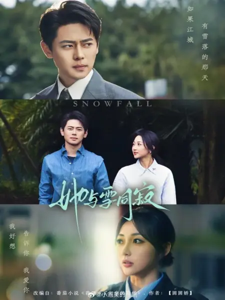 Дорама Снегопад / Snowfall /  她与雪同寂