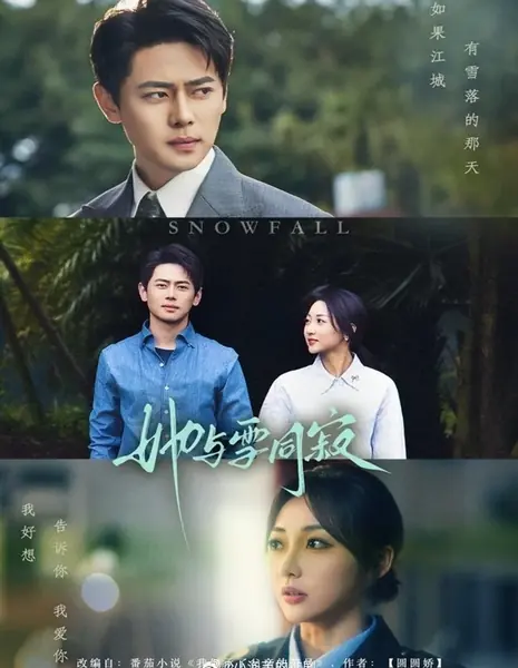 Снегопад / Snowfall /  她与雪同寂