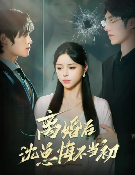 После развода господин Шэнь горько раскаялся / Li Hun Hou Shen Zong Hui Bu Dang Chu /  离婚后沈总悔不当初