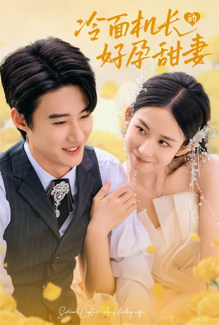 Дорама Серьезный капитан и счастливая жена / Serious Captain and Lucky Wife /  冷面机长的好孕甜妻