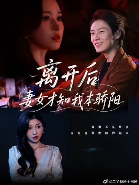 Дорама Li Kai Hou Qi Nv Cai Zhi Wo Ben Jiao Yang /  离开后妻女才知我本骄阳