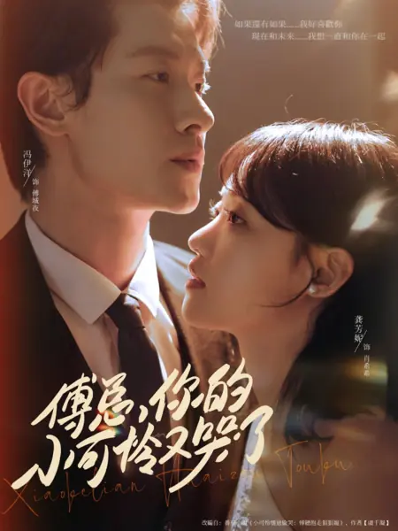 Дорама Fu Zong, Ni De Xiao Ke Lian You Ku Le /  傅总，你的小可怜又哭了