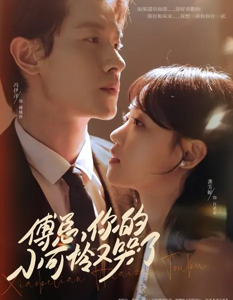 Fu Zong, Ni De Xiao Ke Lian You Ku Le /  傅总，你的小可怜又哭了