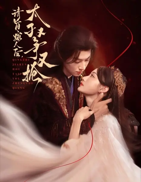 Qing Zhi Jia Ren Hou, Tai Zi You Zheng You Qiang /  请旨嫁人后，太子又争又抢