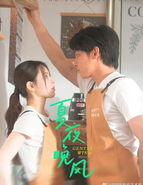 Легкий ветерок / Gentle Wind /  夏夜晚风