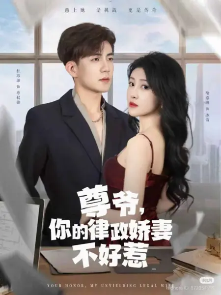 Дорама Грозная супруга его превосходительства / His Excellency's Formidable Wife /  尊爷，你的律政娇妻不好惹