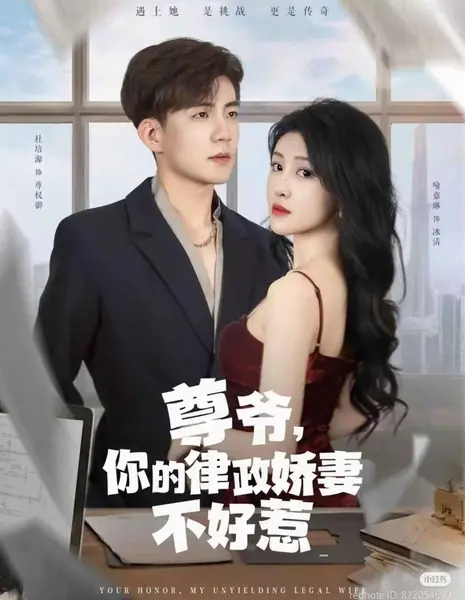 Грозная супруга его превосходительства / His Excellency's Formidable Wife /  尊爷，你的律政娇妻不好惹