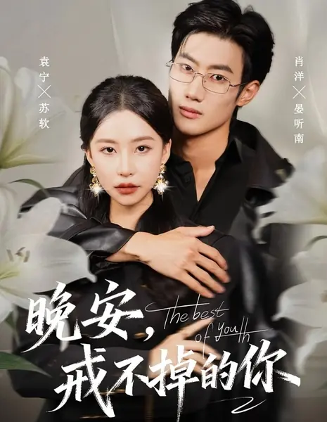 Лучшее из юности / The Best of Youth /  晚安，戒不掉的你