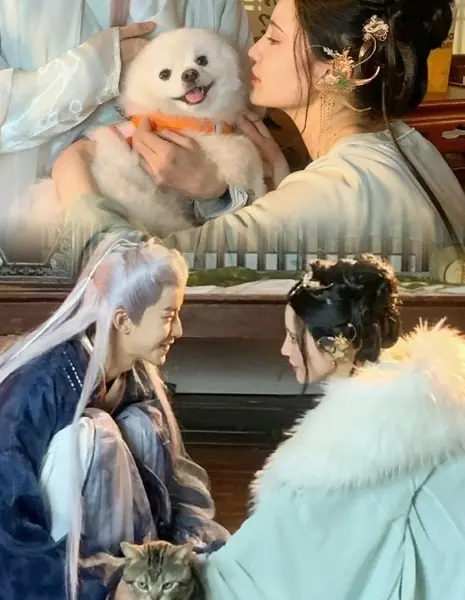 Bai Li An Shu /  白里安姝