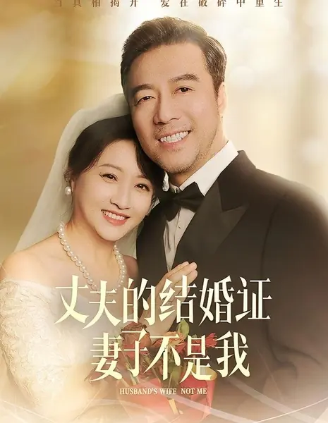 Жена моего мужа — не я / Husband's Wife Not Me /  丈夫的结婚证妻子不是我