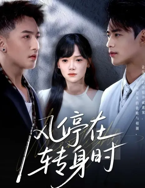 Feng Ting Zai Zhuan Shen Shi /  风停在转身时