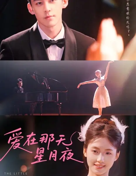 Первая любовь / The Little Thing of First Love /  爱在那天星月夜