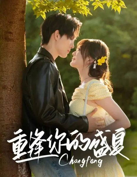 Снова встретить тебя в разгар лета / Chong Feng Ni De Sheng Xia /  重逢你的盛夏