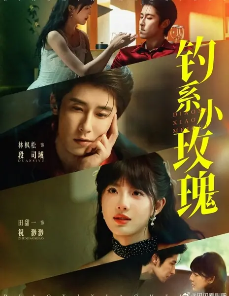 Ловушка маленькой розы / Diao Xi Xiao Mei Gui /  钓系小玫瑰