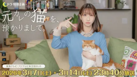 Дорама Я приютила кота бывшего / Motokare no Neko wo, Akarimashite / 元カレの猫を、預かりまして。