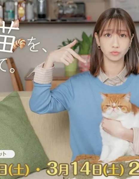 Я приютила кота бывшего / Motokare no Neko wo, Akarimashite / 元カレの猫を、預かりまして。