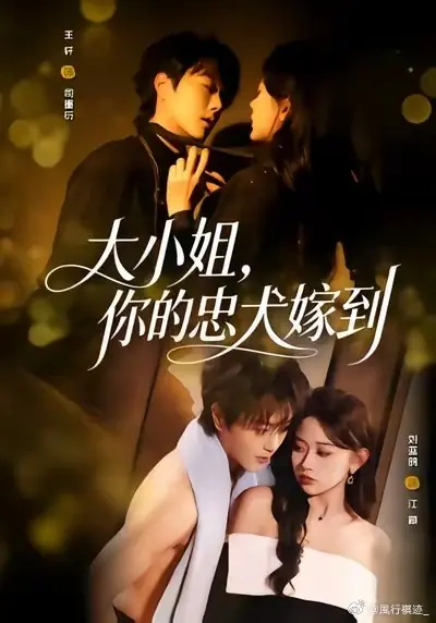Дорама Хозяйка, твой верный пес прибыл / Miss, Your Loyal Dog Has Arrived / 大小姐，你的忠犬嫁到 / Da Xiao Jie Ni De Zhong Quan Jia Dao