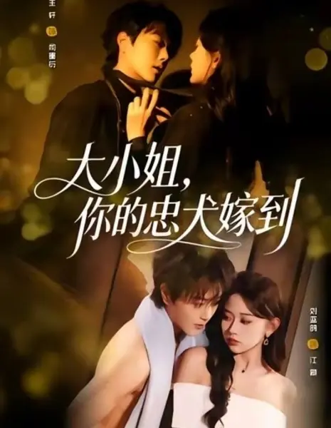 Хозяйка, твой верный пес прибыл / Miss, Your Loyal Dog Has Arrived / 大小姐，你的忠犬嫁到 / Da Xiao Jie Ni De Zhong Quan Jia Dao